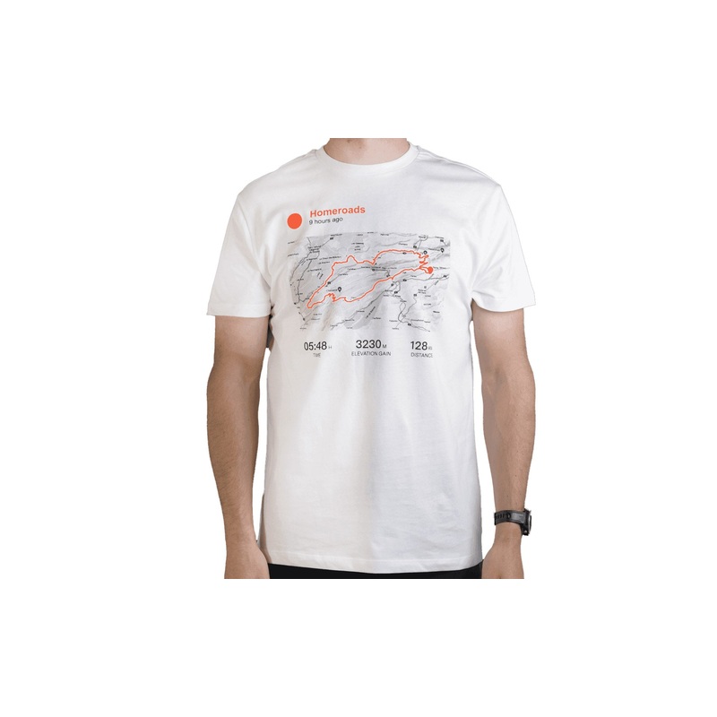 Stem ICS01