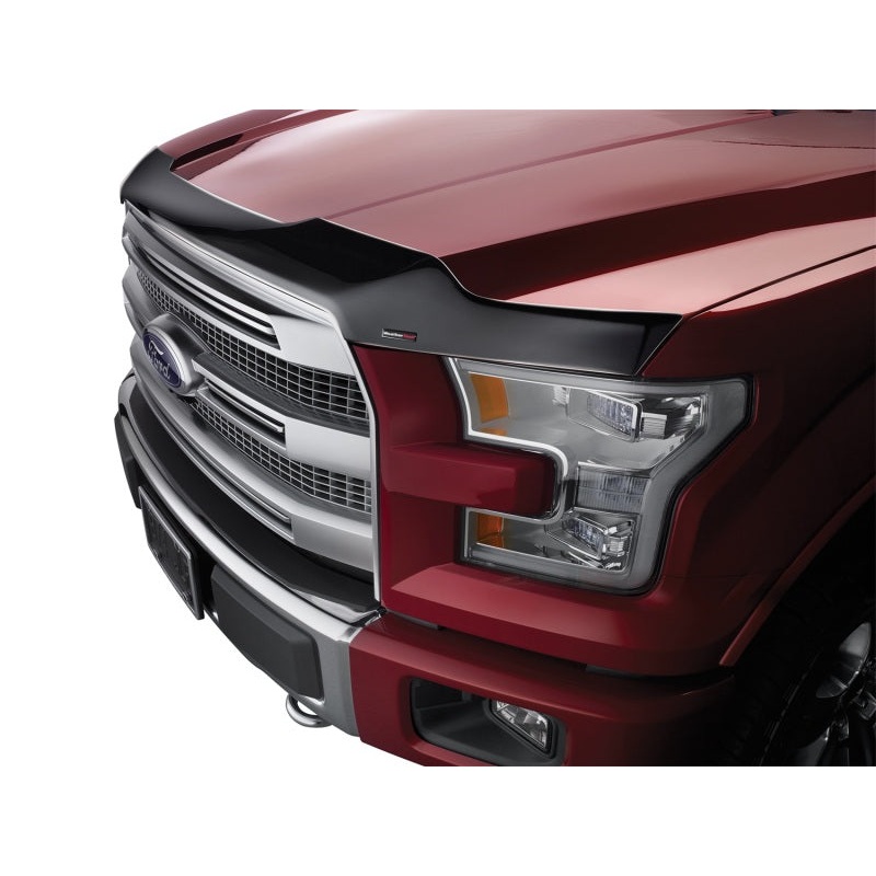 WeatherTech 2010+ Toyota 4Runner Hood Protector – Black