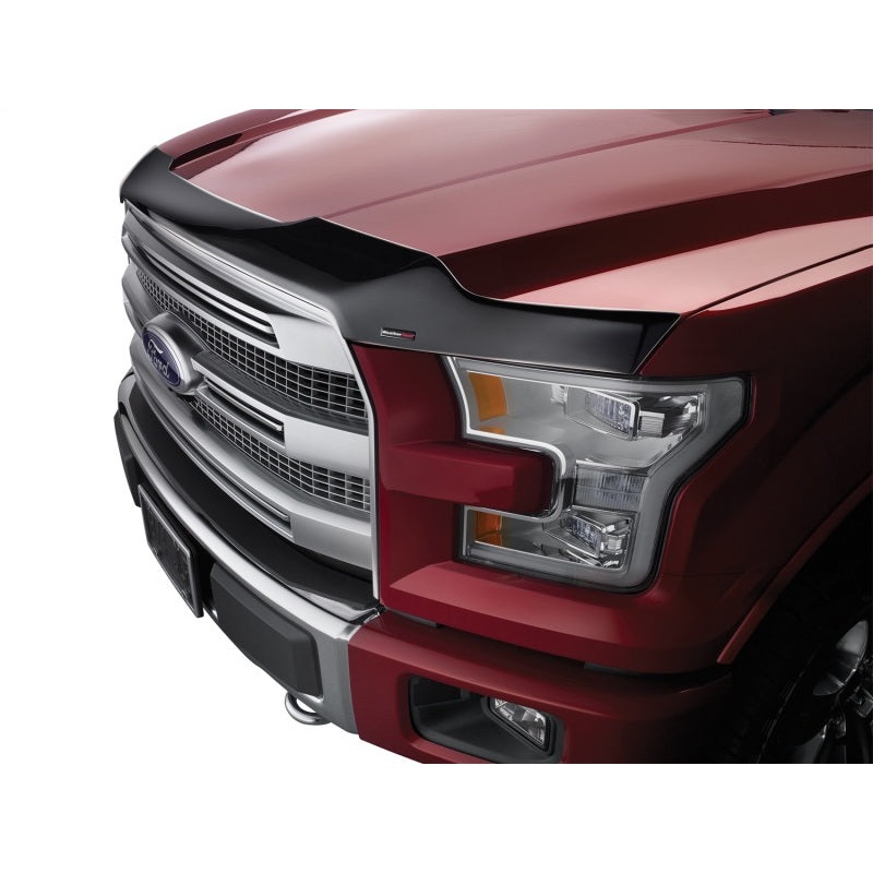 WeatherTech 2021+ Ford Bronco Hood Protector – Black