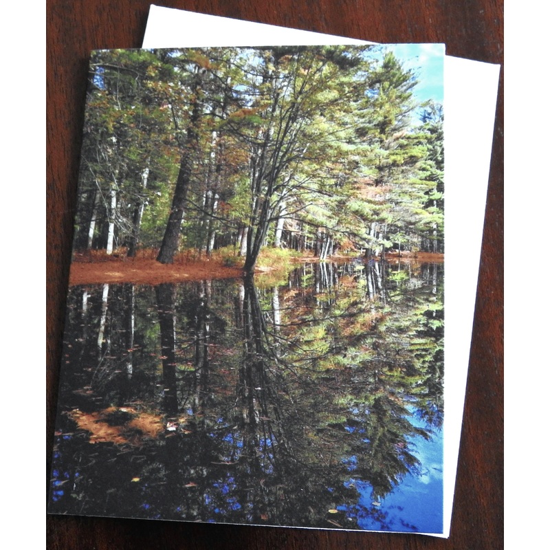 Woodland Reflection Notecard