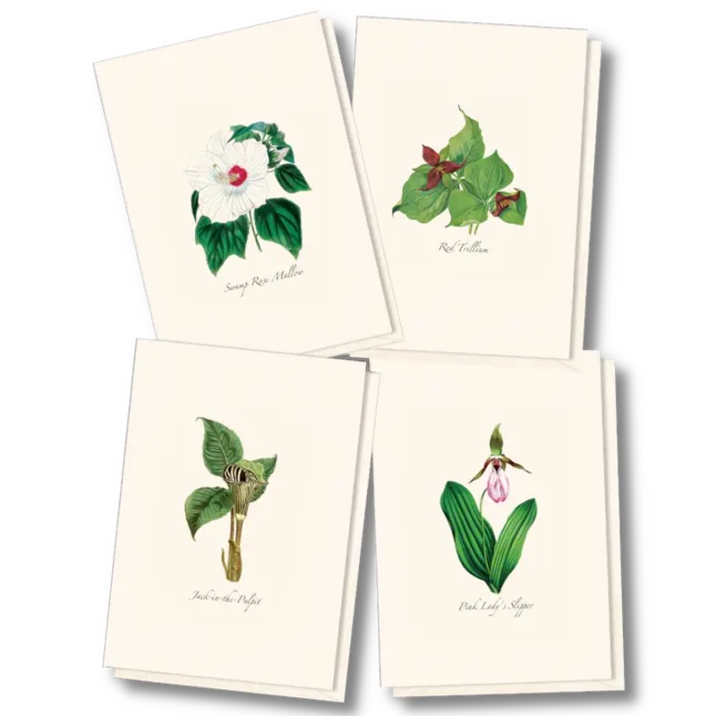 Woodland Wildflower Assortment Notecard Boxed Set